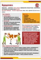 Памятка о профилактике бруцеллеза Памятка о профилактике бруцеллеза.